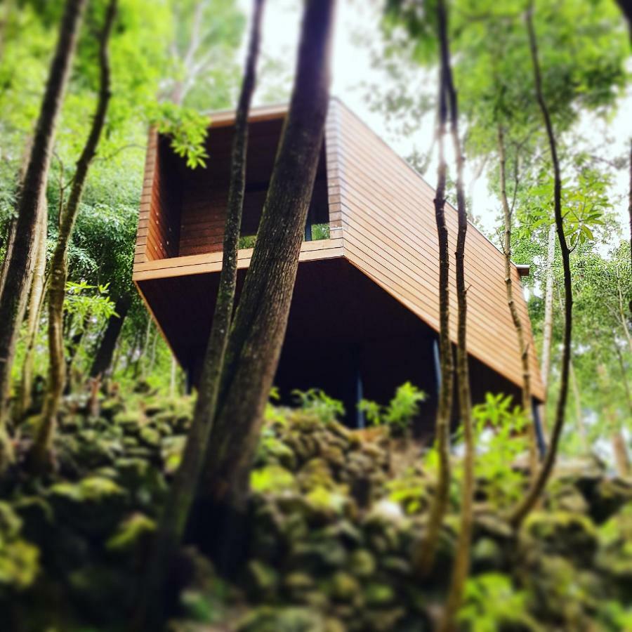 Caparica Azores Ecolodge Biscoitos  Exterior foto