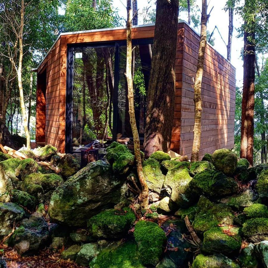 Caparica Azores Ecolodge Biscoitos  Exterior foto