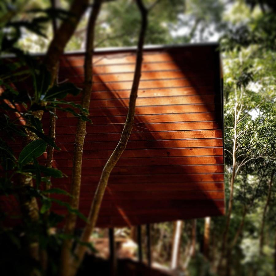 Caparica Azores Ecolodge Biscoitos  Exterior foto