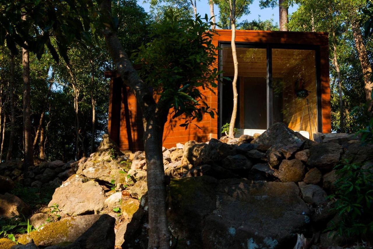 Caparica Azores Ecolodge Biscoitos  Exterior foto
