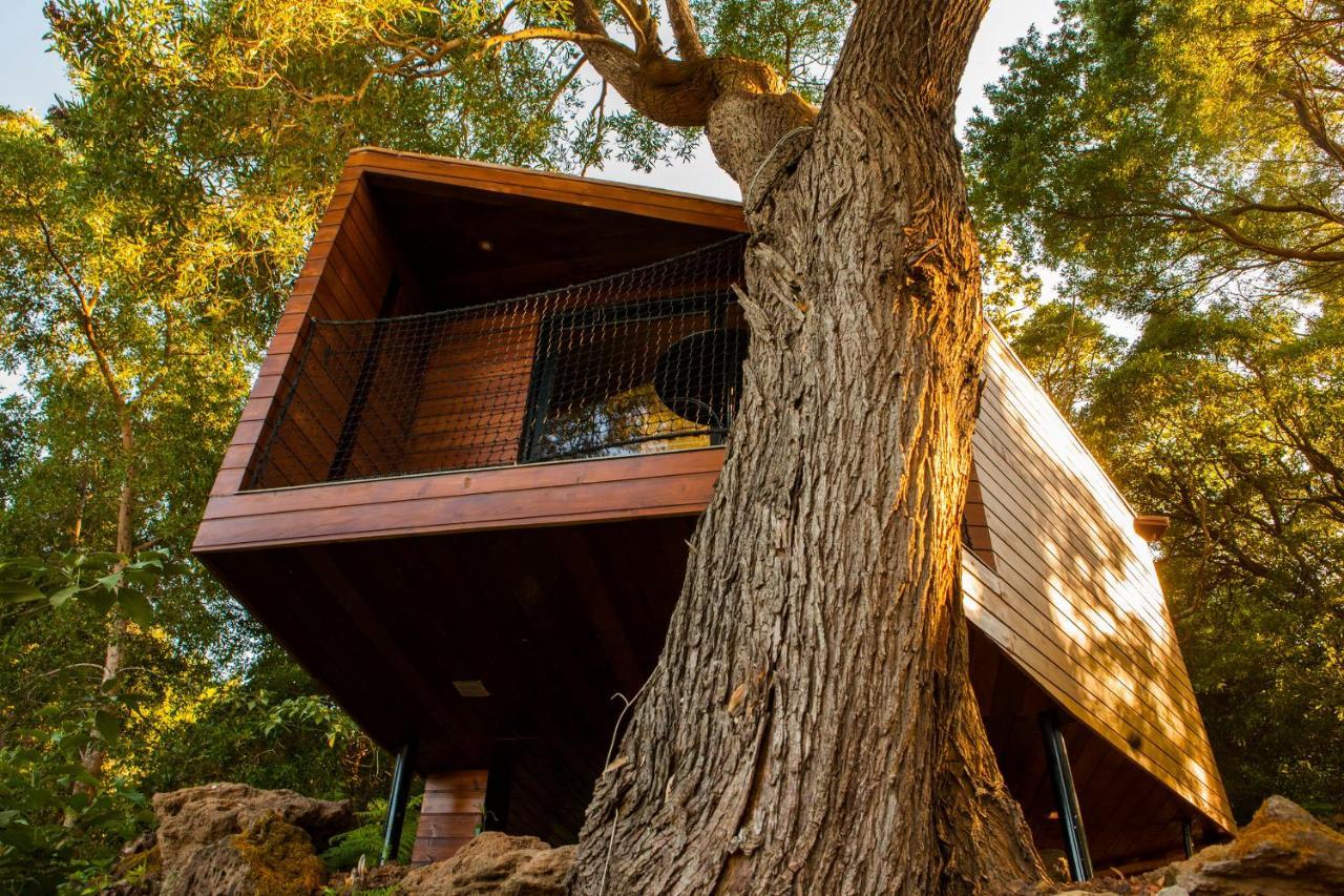 Caparica Azores Ecolodge Biscoitos  Exterior foto
