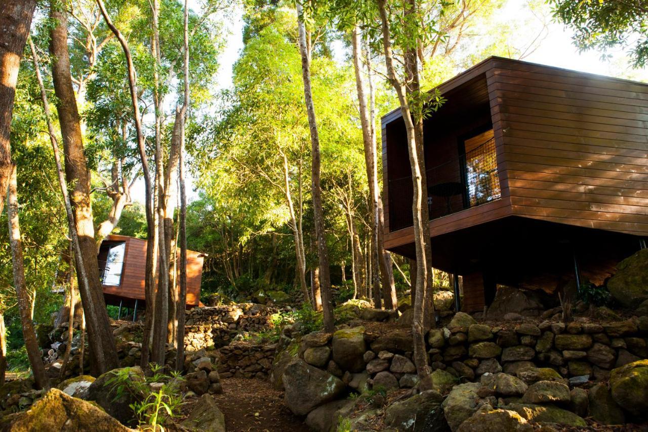 Caparica Azores Ecolodge Biscoitos  Exterior foto